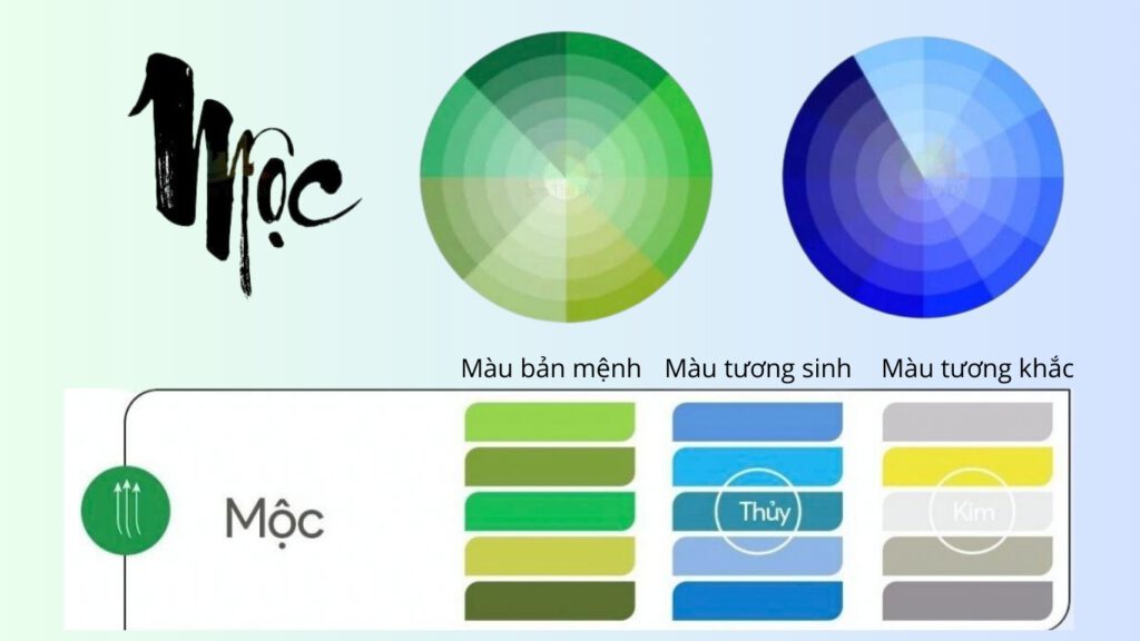 Màu sơn theo phong thuỷ mệnh Mộc